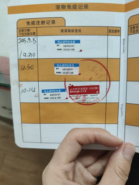 卖哈士奇6-7个月